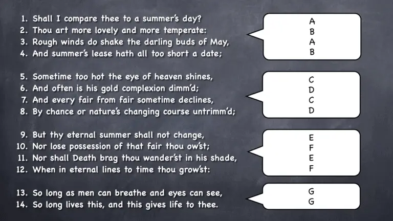 how-to-write-a-shakespearean-sonnet-step-by-step-how-to-write-an-essay